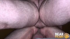 Fun Chubby Hairy Bears Bareback After BJ Thumb