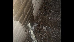 Pissing on a Wall Outside Thumb